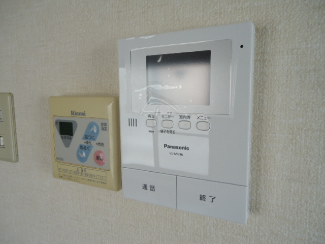 Security. Monitor phone