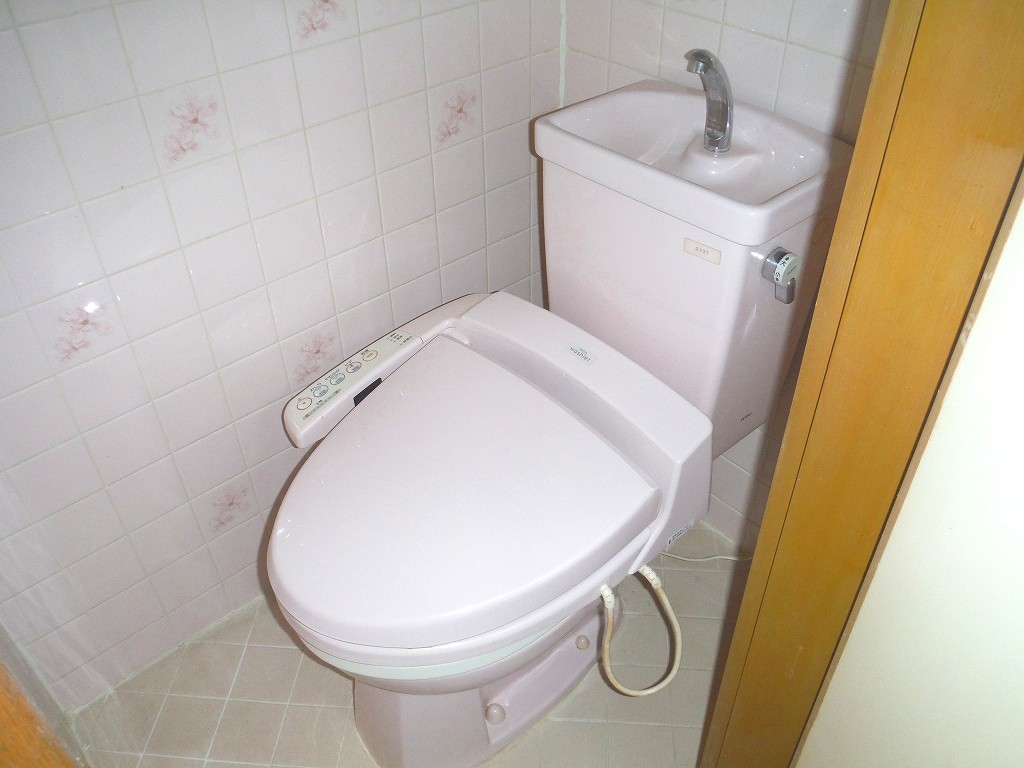 Other. Toilet