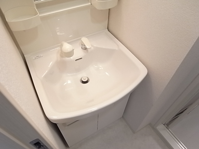 Washroom. Shampoo dresser