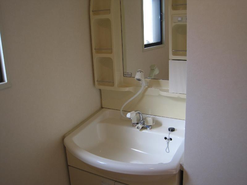 Washroom. Shampoo dresser