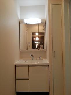 Wash basin, toilet. Basin with storage