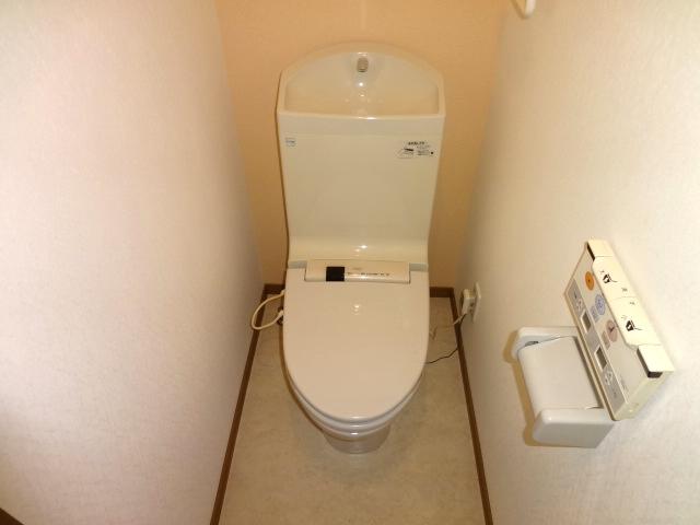Toilet. Shower toilet.
