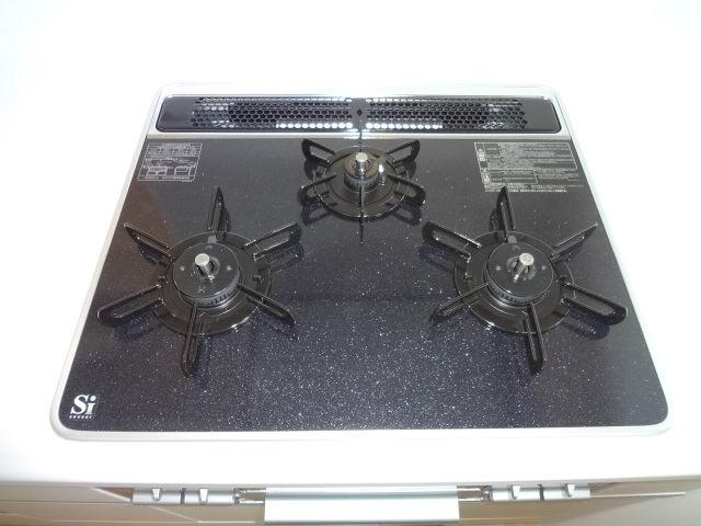 Same specifications photo (kitchen). Gas stove with Si sensor.