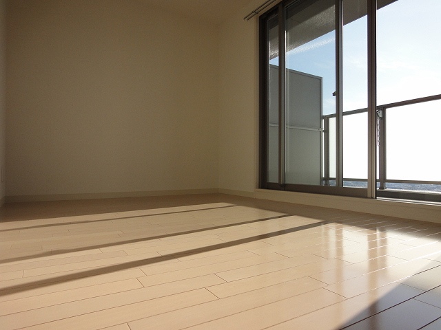 Living and room. Sunny