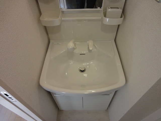 Washroom. Shampoo dresser