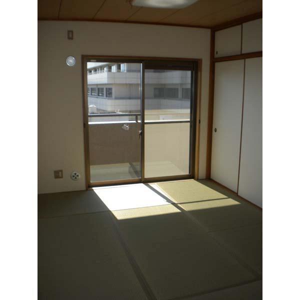 Kitchen. Japanese style room