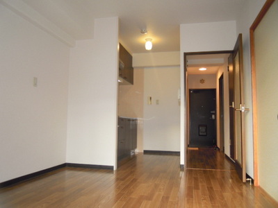 Living and room. Room 1