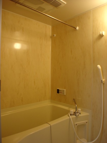 Bath. Bathroom dryer with bus