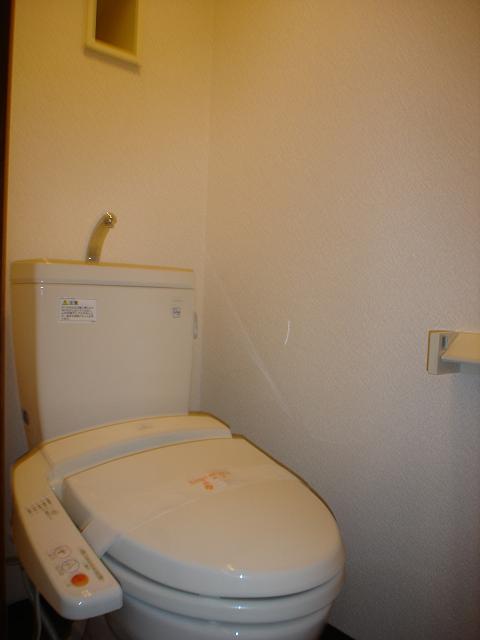 Toilet. Warm water washing toilet seat