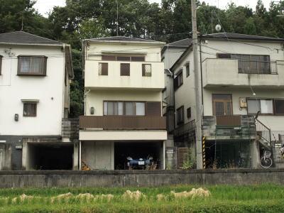 Local appearance photo. Local (10 May 2012) shooting