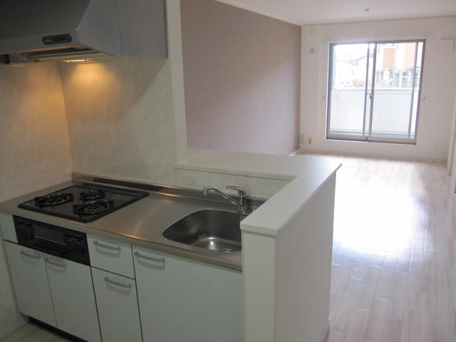 Kitchen. Counter system is a kitchen (three-necked)