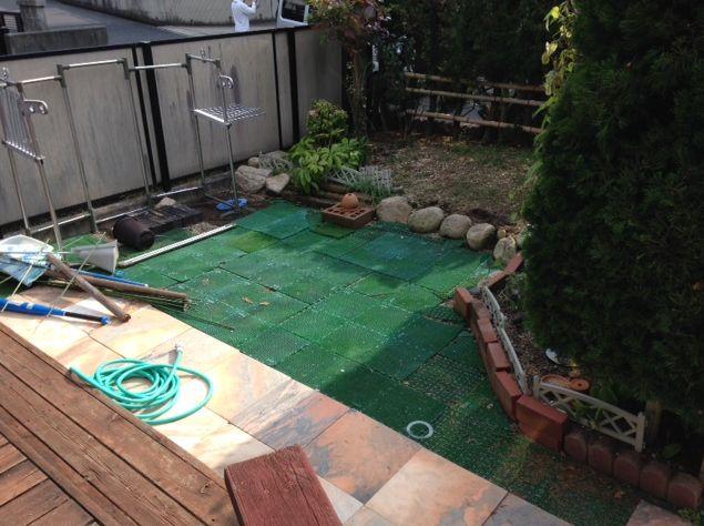 Garden. Local (11 May 2013) Shooting