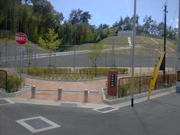 park. 50m to the park