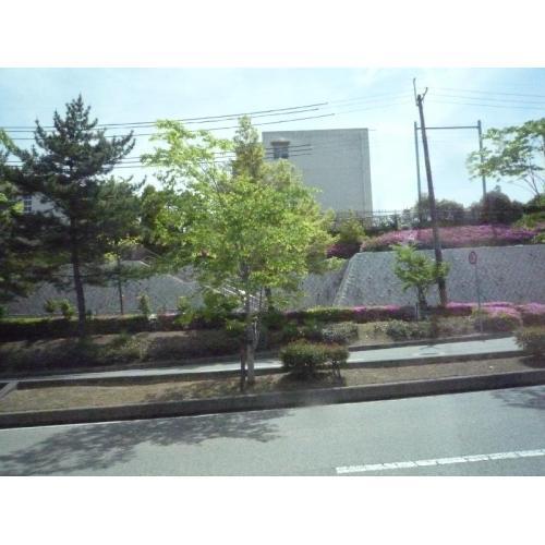 Primary school. Fujiwara stand elementary school