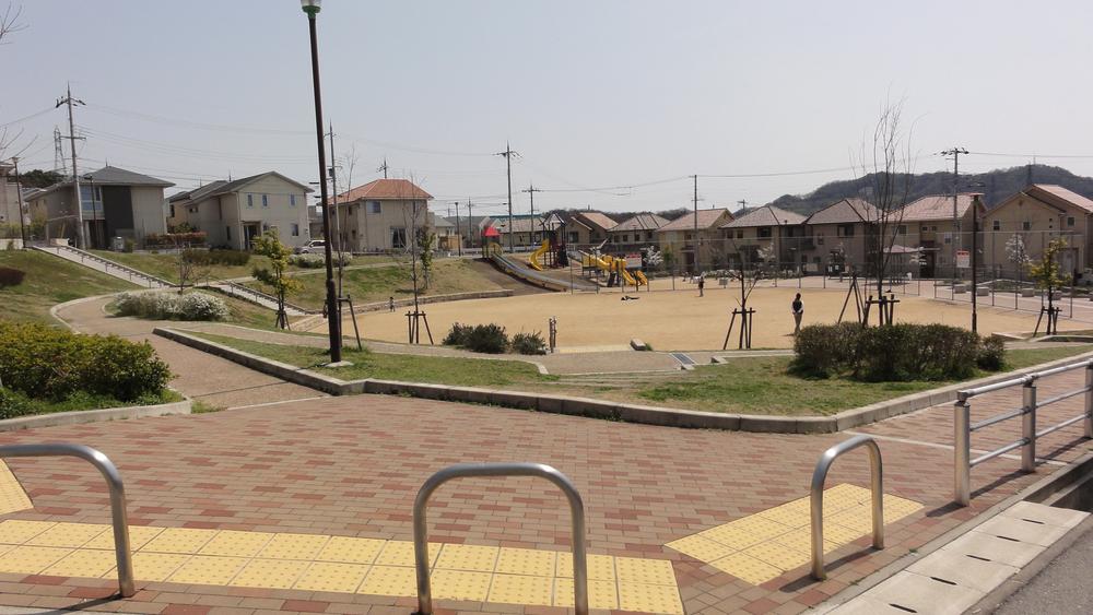 Other local. Local (March 2013) Shooting