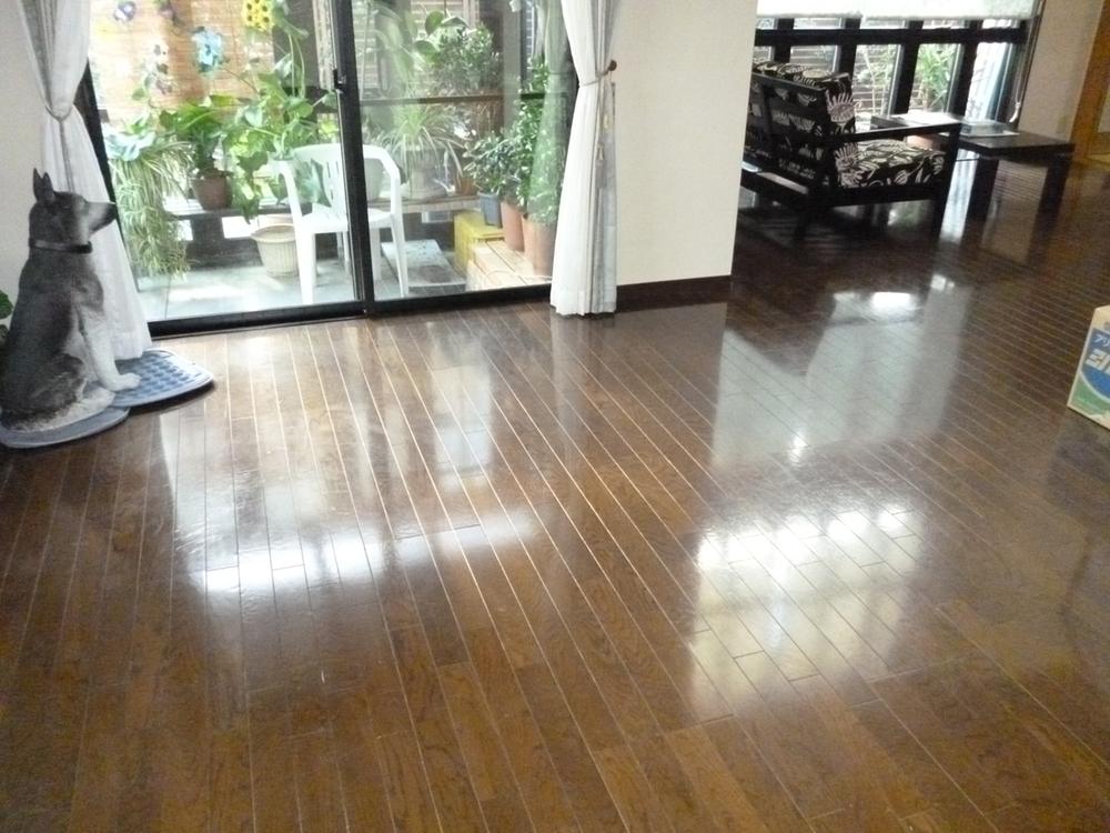 Living. Indoor (12 May 2013) Shooting