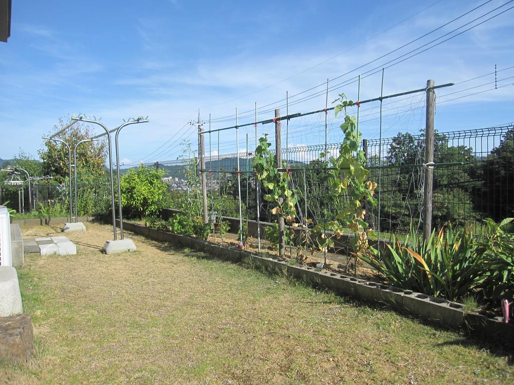 Garden. Local (August 2013) Shooting