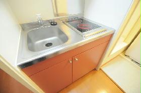 Kitchen. Electric heating type of stove is 2-neck