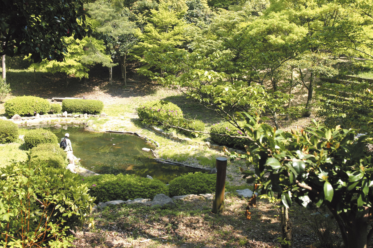 Other Environmental Photo. Hiyodorigoe 830m to Forest Park