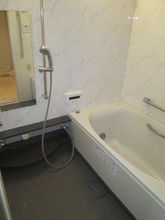 Bathroom. Indoor (12 May 2013) Shooting