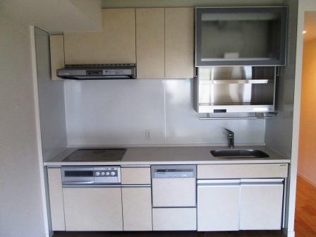 Kitchen. Indoor (12 May 2013) Shooting