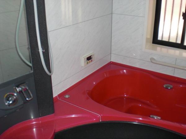 Bathroom. I bathtub of color is fashionable.