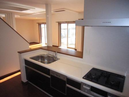 Kitchen. Water purification, With dishwasher kitchen