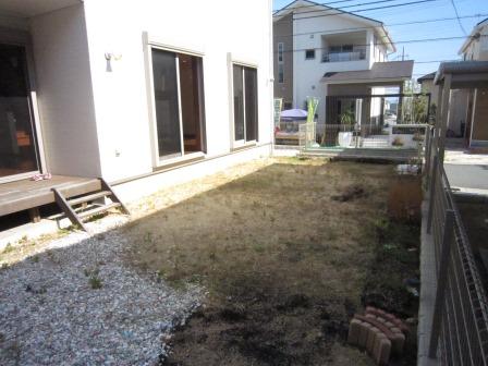 Garden. Local shooting