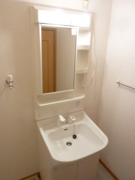 Washroom. Shampoo dresser