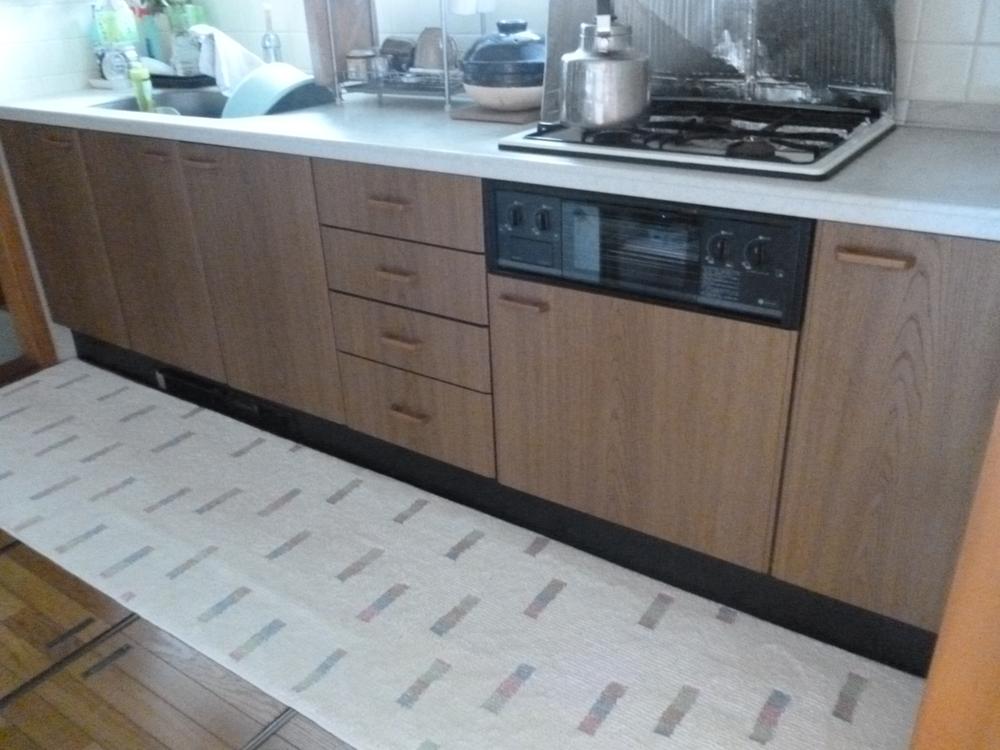 Kitchen. Indoor (10 May 2013) Shooting