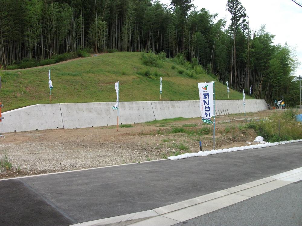 Local land photo. Local (10 May 2012) shooting