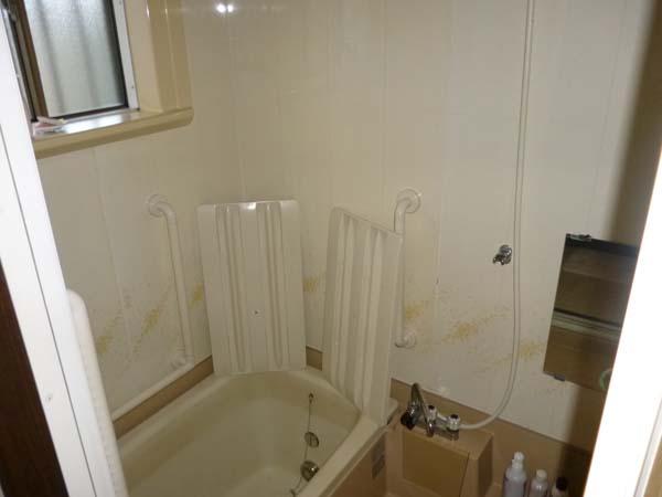 Bathroom. Indoor (12 May 2013) Shooting