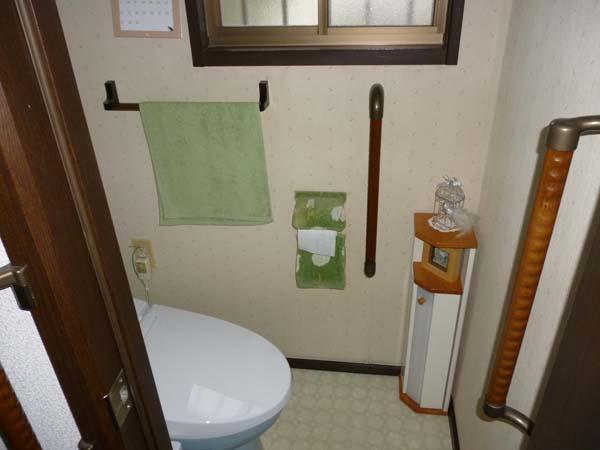 Toilet. Indoor (12 May 2013) Shooting