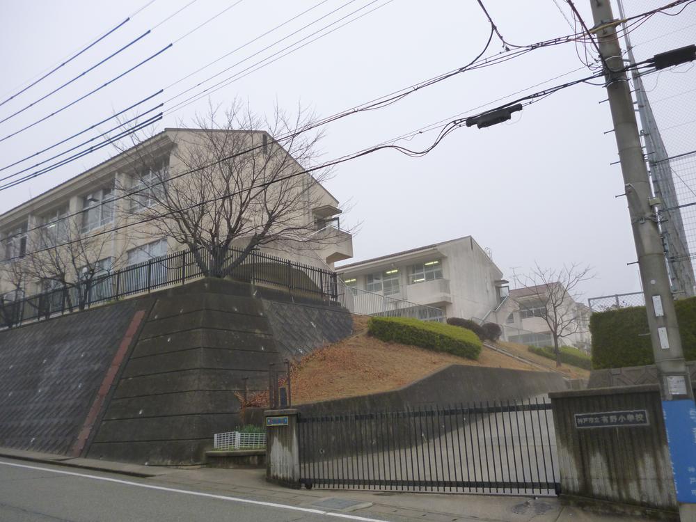 Primary school. Arinodai elementary school