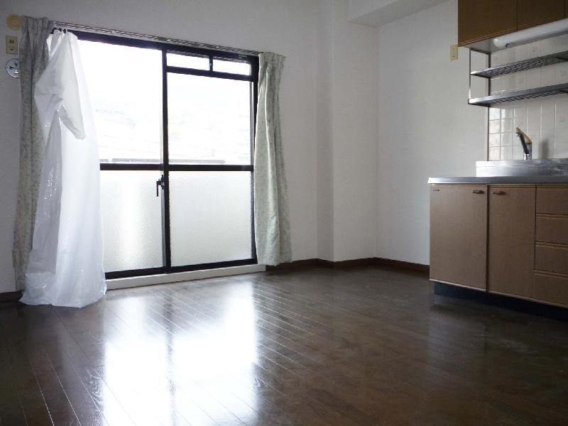 Living and room. South-facing DK