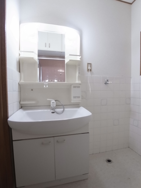 Washroom. Independent wash basin with shampoo dresser