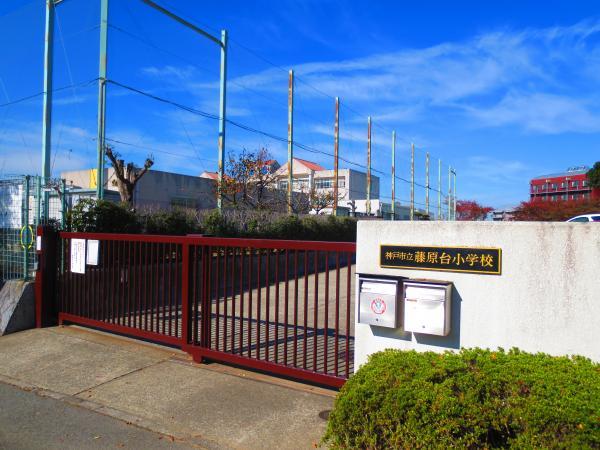 Primary school. Close to 480m elementary school to Fujiwara stand elementary school. It school will be good exercise with your child.