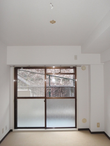 Living and room. Western-style (1)