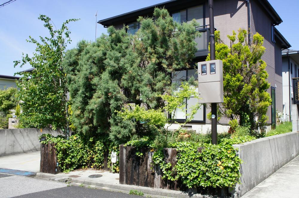 Local appearance photo. Local (July 2013) Shooting