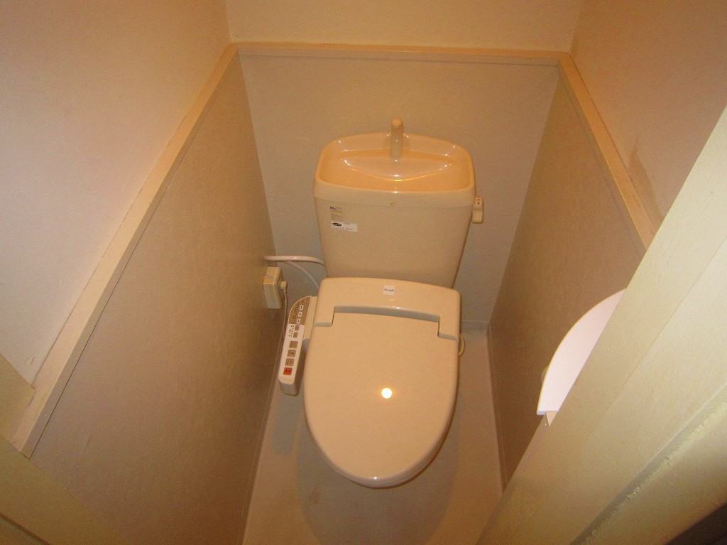 Other. Toilet