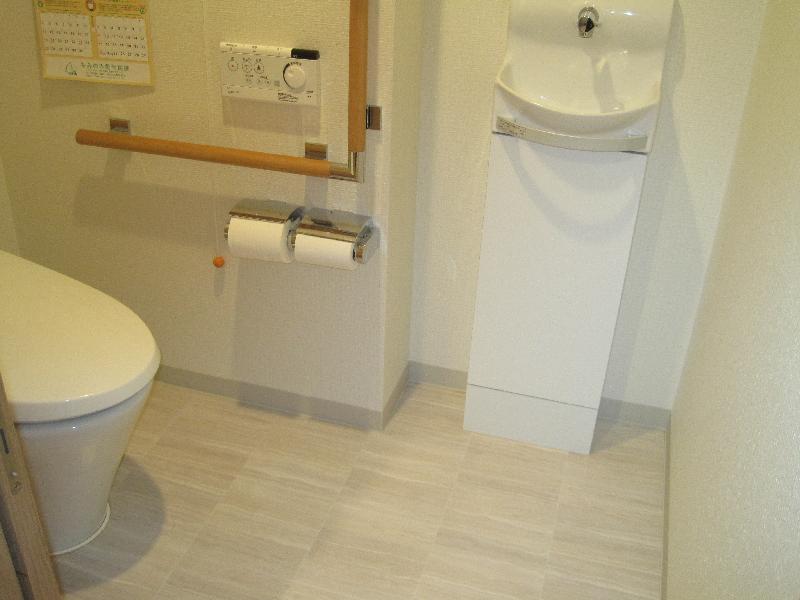 Toilet. Indoor (March 2012) shooting