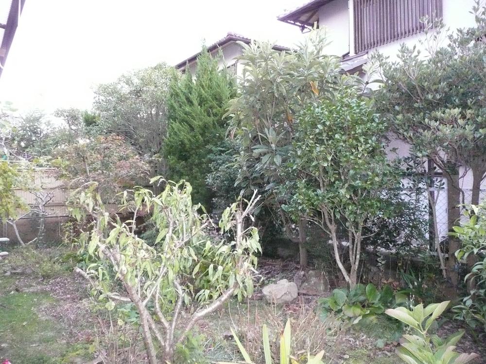 Garden. Local (11 May 2012) shooting