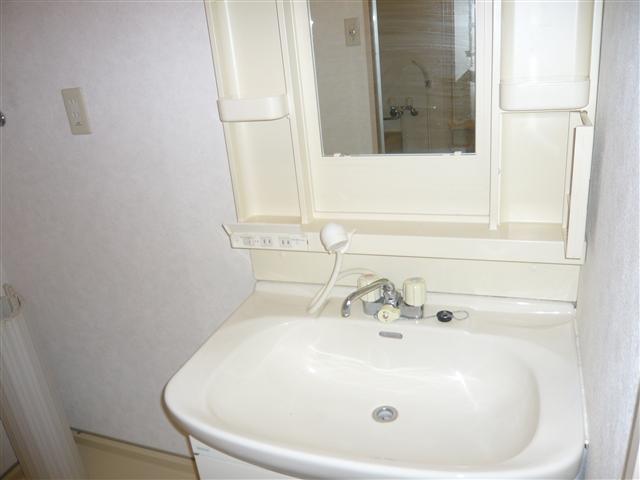 Washroom. Independent wash basin