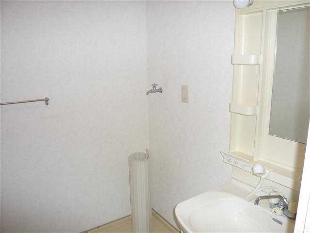 Washroom. Washing machine in the room