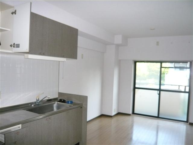 Living and room. South-facing living room