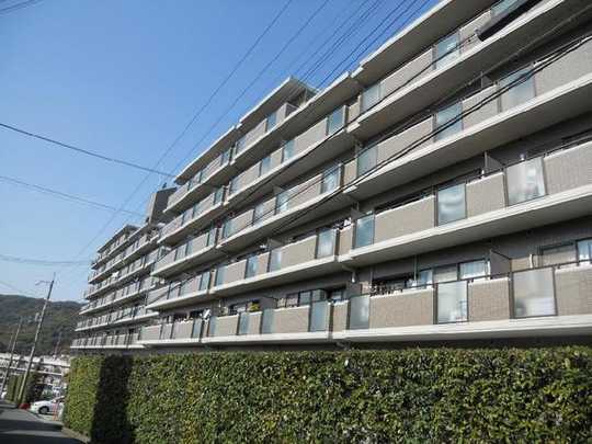 Local appearance photo. Mansion appearance photos (1) 1992 March architecture apartment!