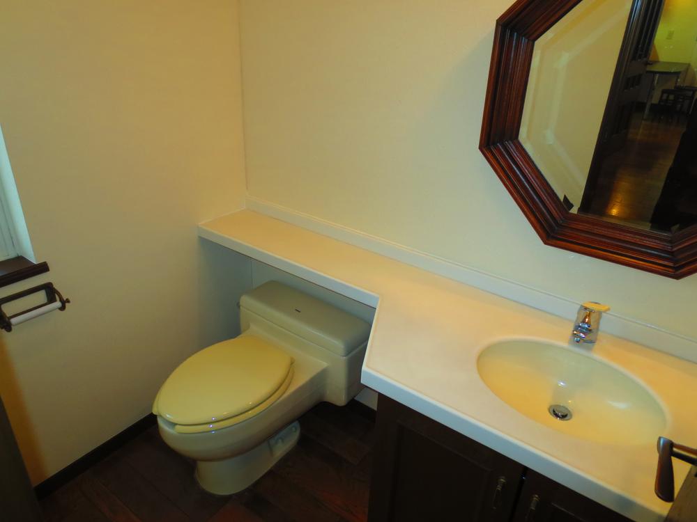 Toilet. Wash with a toilet.