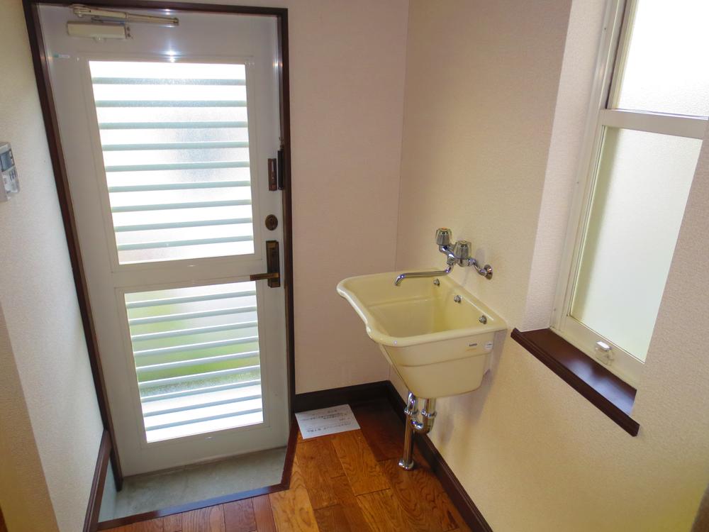 Other introspection. Back door