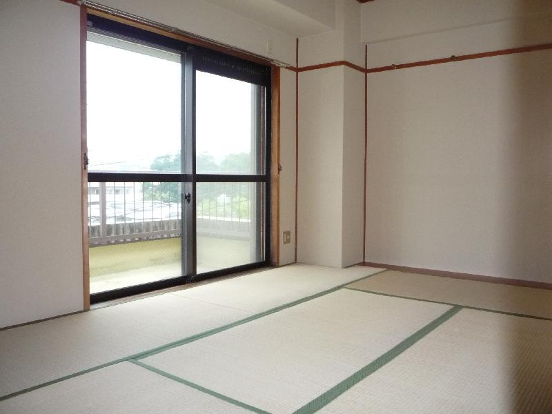 Living and room. Veranda side Japanese-style room