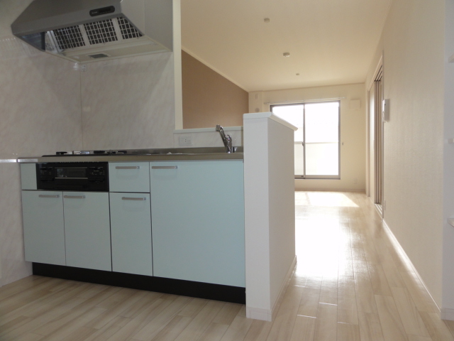 Kitchen. Counter is a system Kitchen